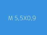 M 5,5X0,9 